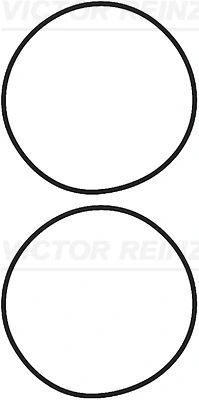 Gasket Set, cylinder liner